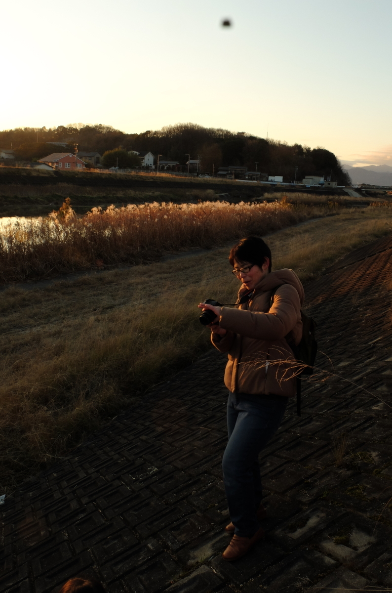 f:id:Aozora100:20200329210422j:plain f:id:Aozora100:20200329210422j:plain