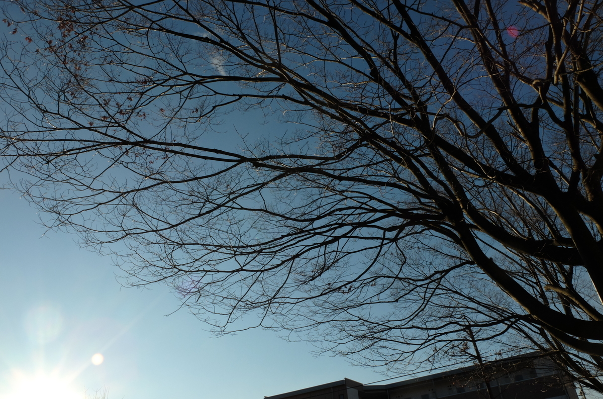 f:id:Aozora100:20200510171622j:plain
