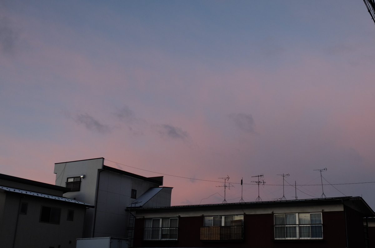 f:id:Aozora100:20200607062526j:plain f:id:Aozora100:20200607062526j:plain
