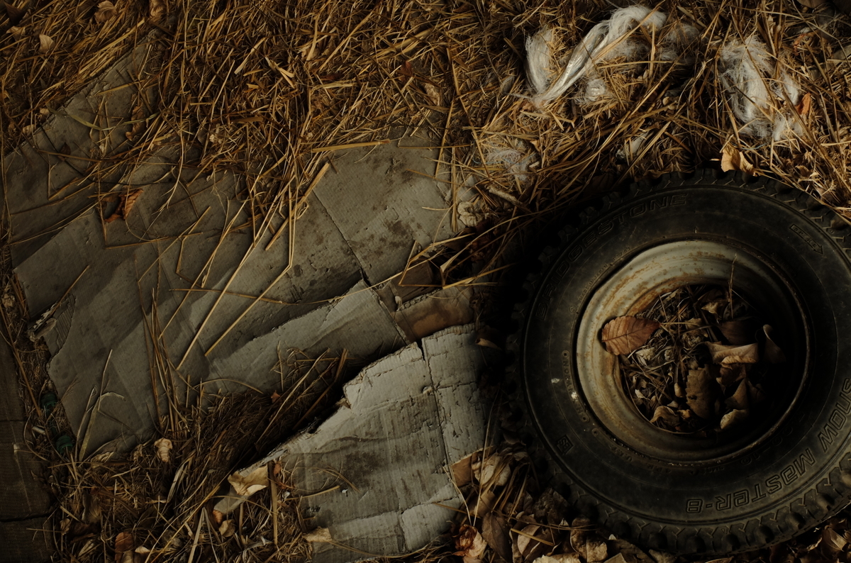 f:id:Aozora100:20200607062632j:plain f:id:Aozora100:20200607062632j:plain