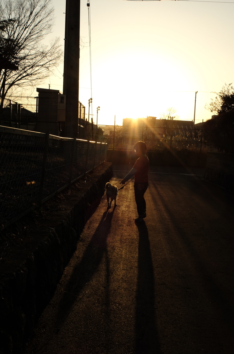 f:id:Aozora100:20200622205027j:plain
