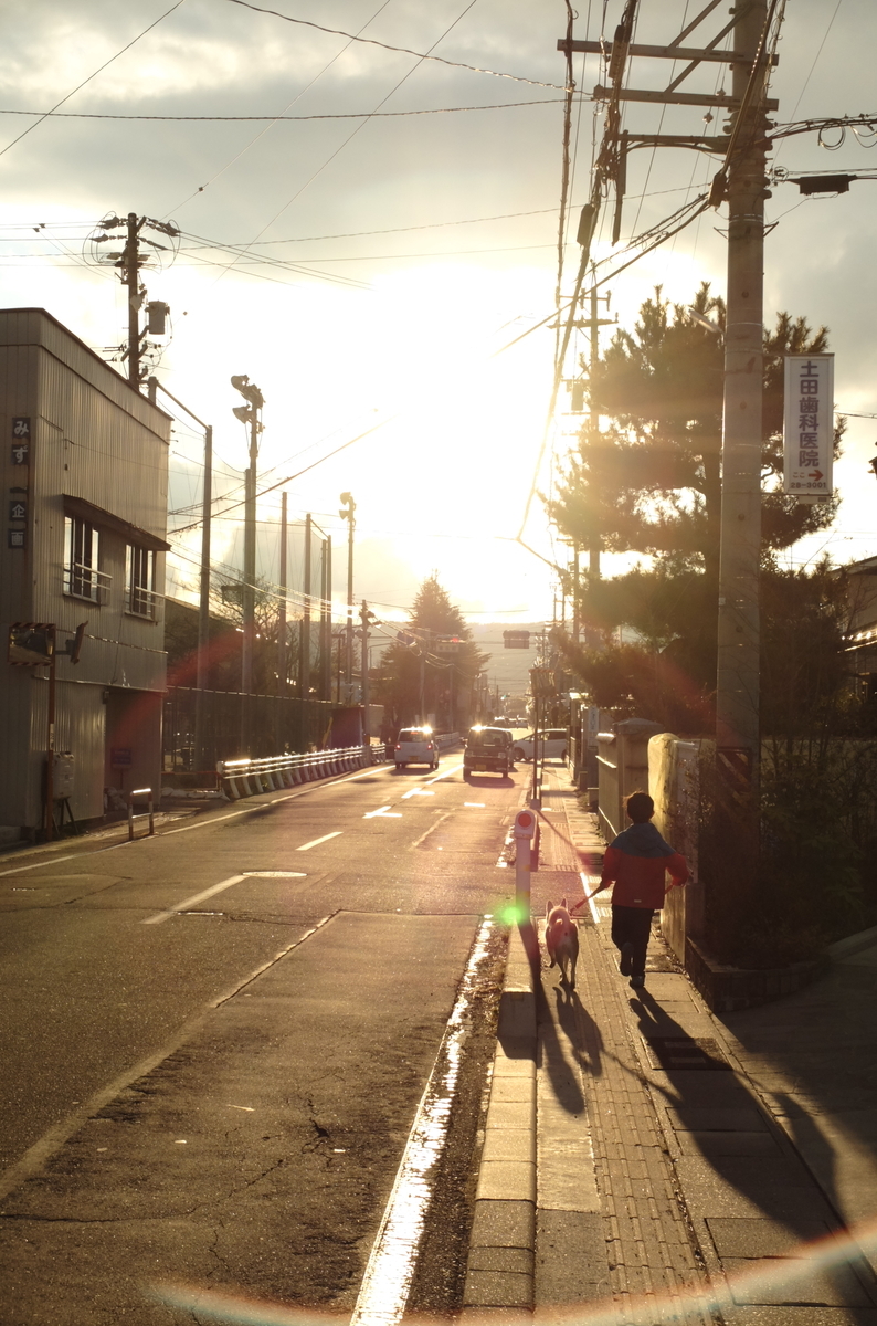 f:id:Aozora100:20200622205042j:plain