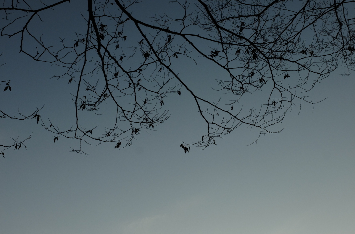 f:id:Aozora100:20200830220032j:plain f:id:Aozora100:20200830220032j:plain