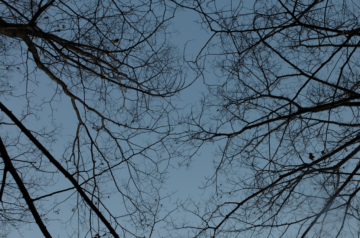 f:id:Aozora100:20200830220057j:plain f:id:Aozora100:20200830220057j:plain