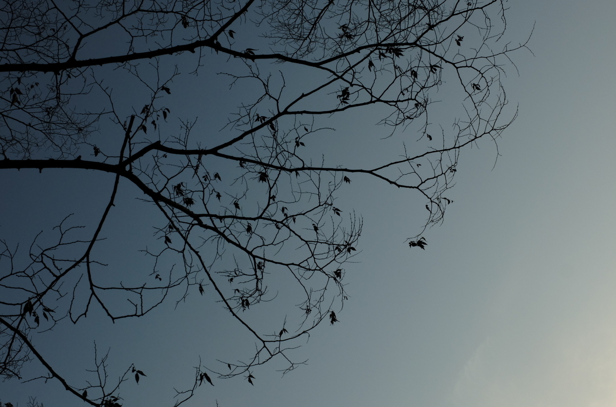 f:id:Aozora100:20200830220115j:plain f:id:Aozora100:20200830220115j:plain