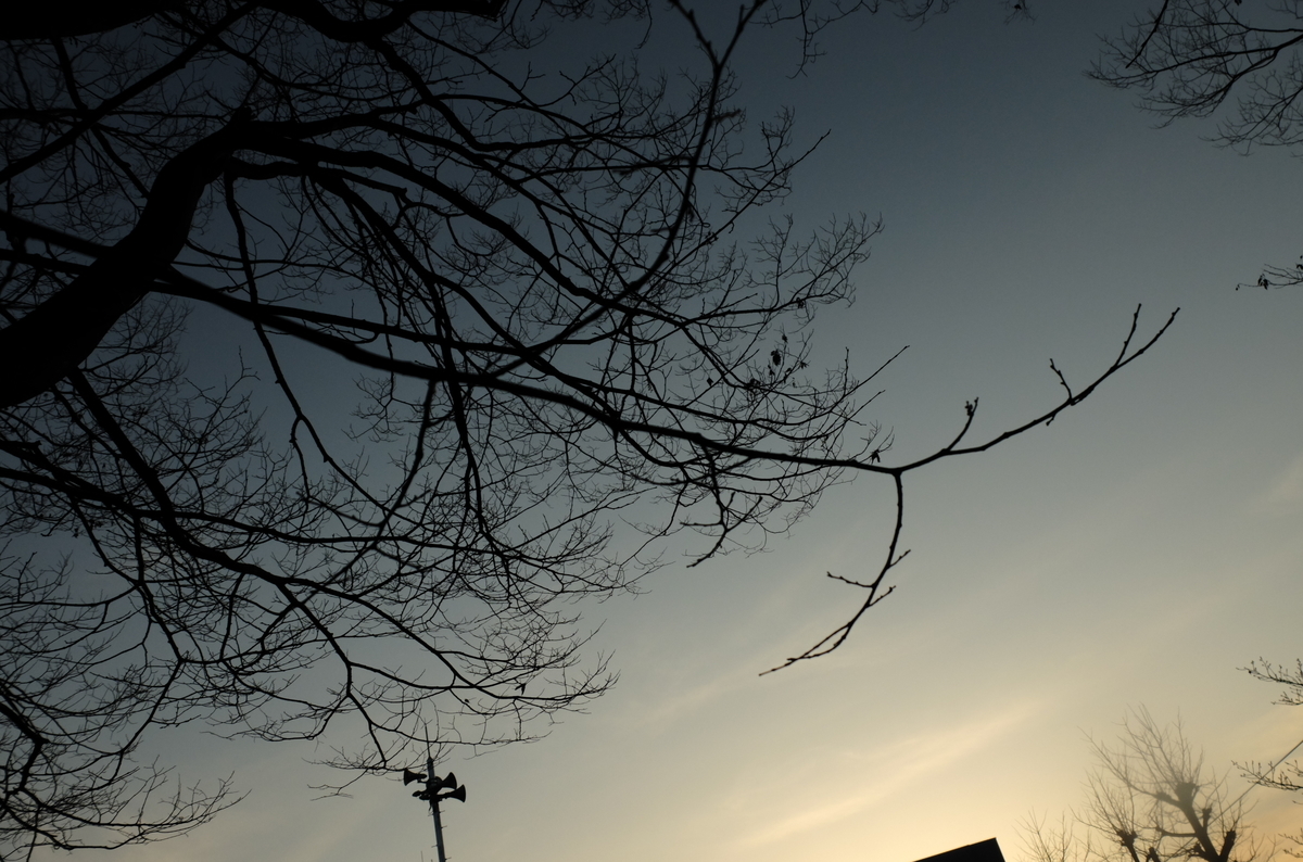f:id:Aozora100:20200830220147j:plain f:id:Aozora100:20200830220147j:plain