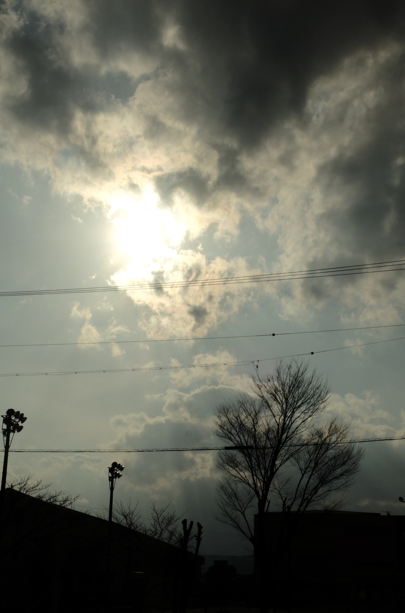 f:id:Aozora100:20201007210131j:plain f:id:Aozora100:20201007210131j:plain