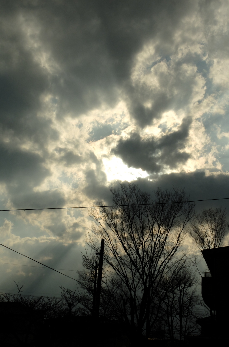 f:id:Aozora100:20201007210214j:plain f:id:Aozora100:20201007210214j:plain