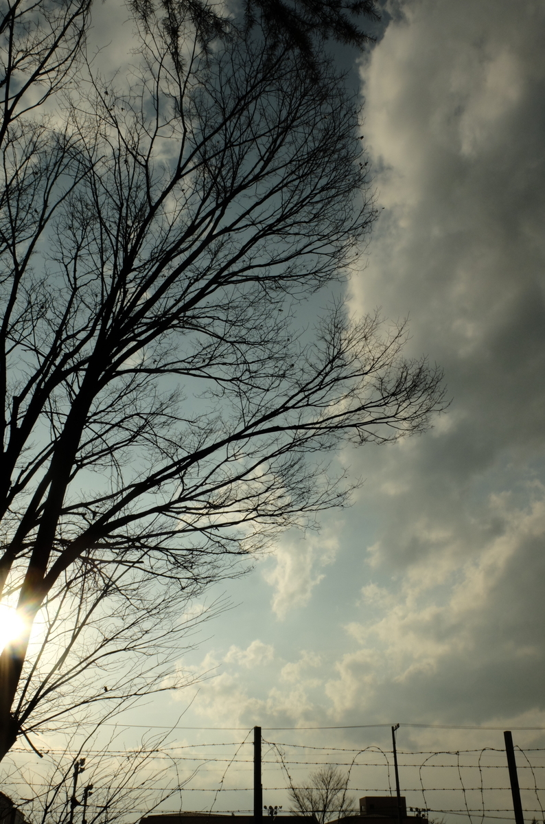f:id:Aozora100:20201007210228j:plain f:id:Aozora100:20201007210228j:plain