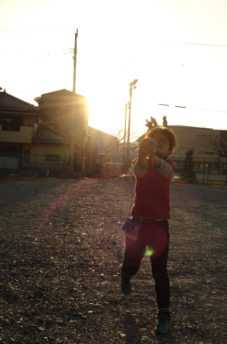 f:id:Aozora100:20201025212824j:plain