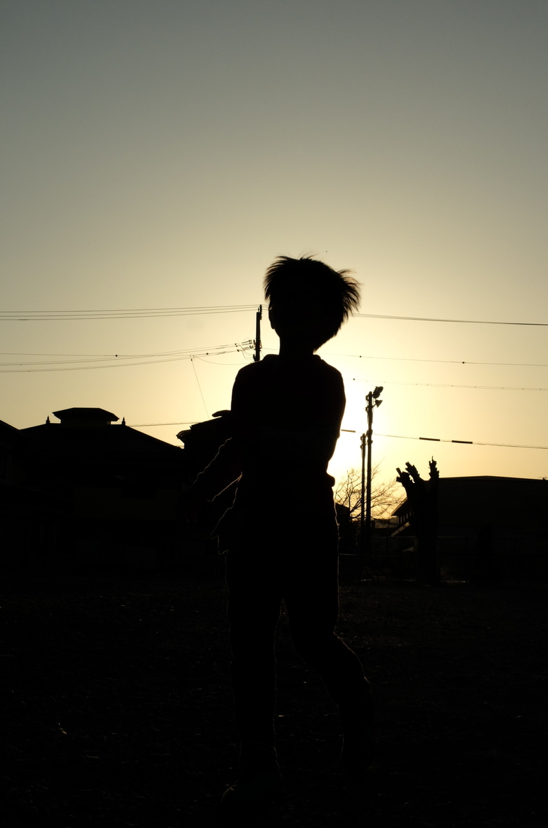 f:id:Aozora100:20201025212851j:plain