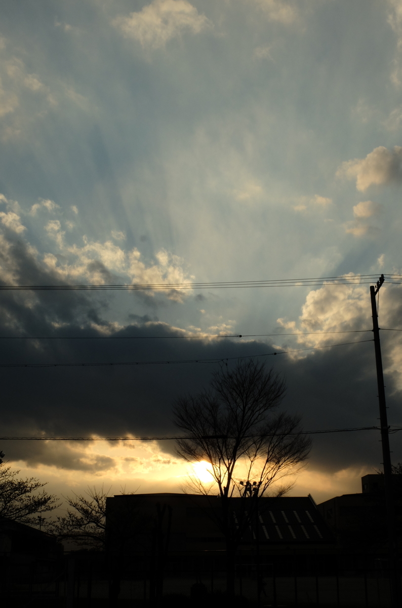 f:id:Aozora100:20201206220437j:plain