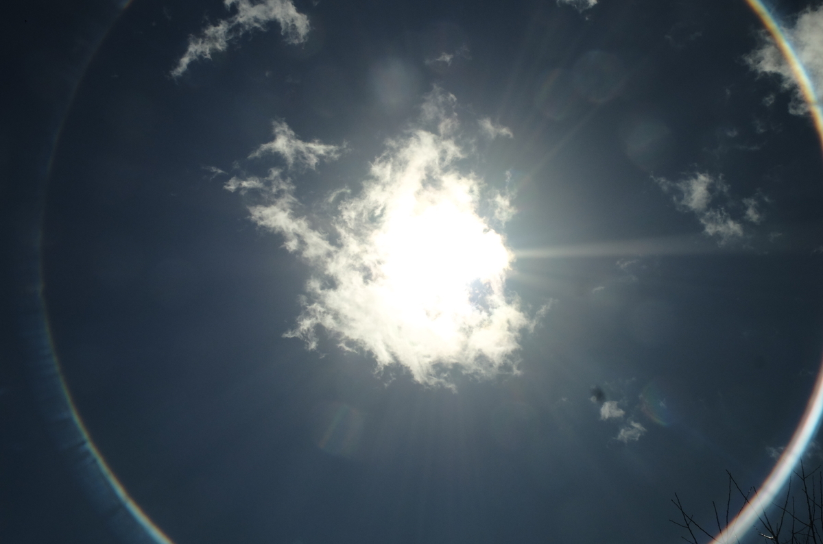 f:id:Aozora100:20201214101818j:plain