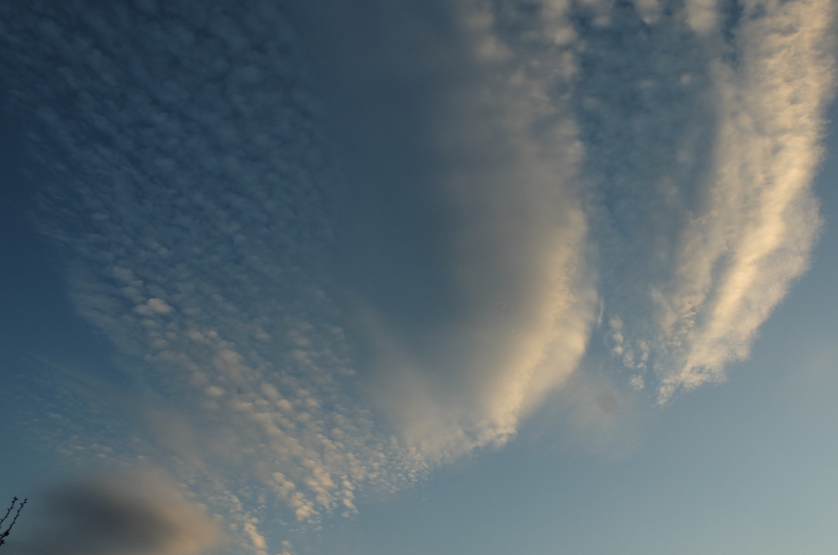 f:id:Aozora100:20201214101850j:plain