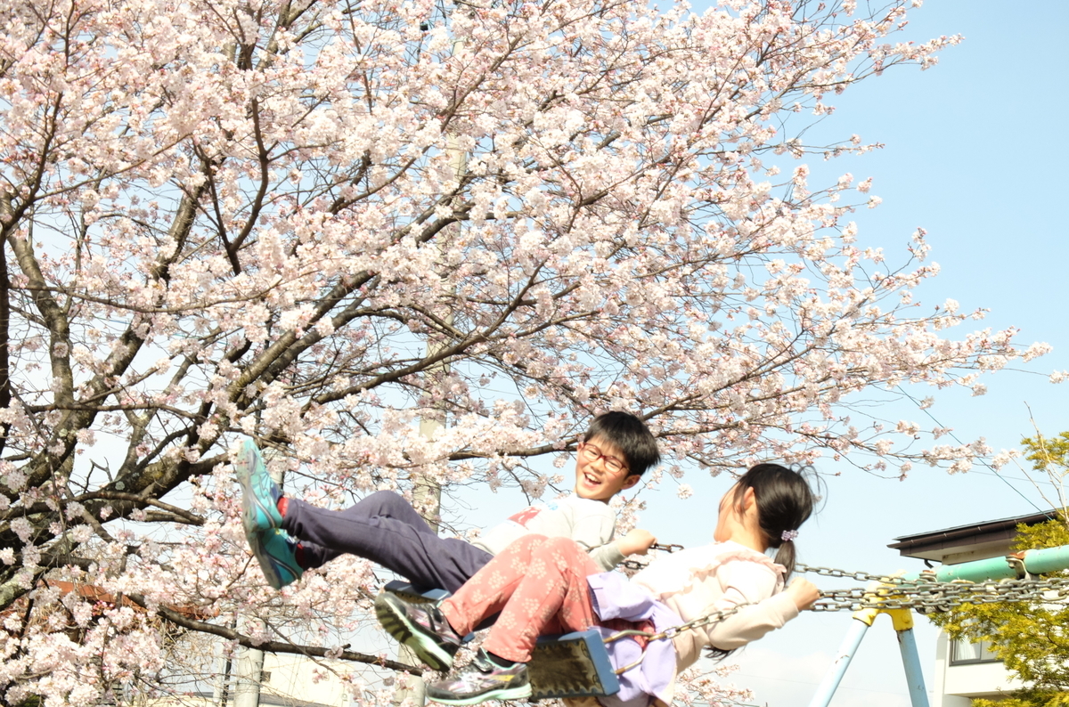 f:id:Aozora100:20201214102021j:plain