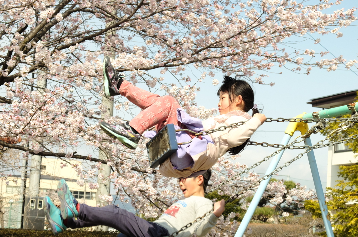 f:id:Aozora100:20201214102044j:plain
