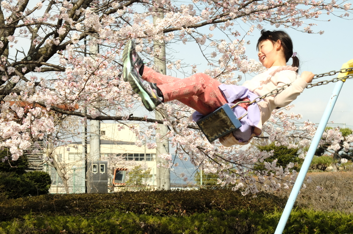 f:id:Aozora100:20201214102056j:plain