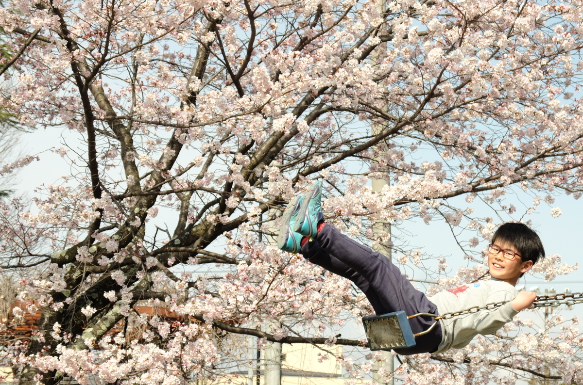 f:id:Aozora100:20201214102112j:plain