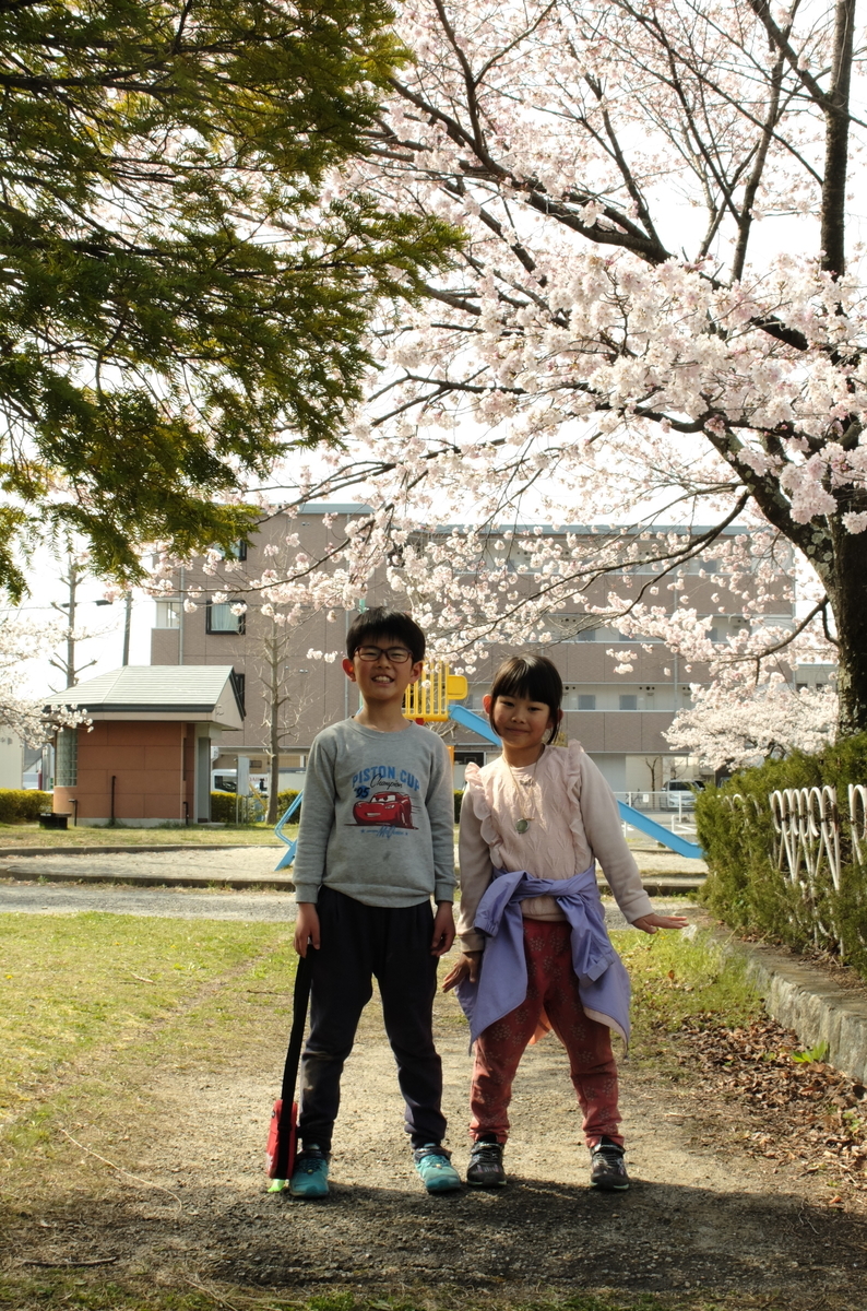 f:id:Aozora100:20201214102120j:plain