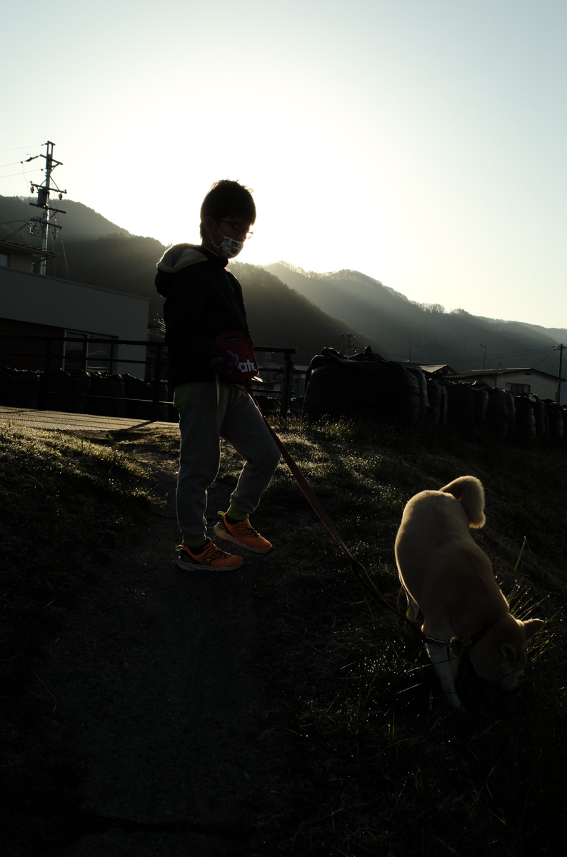 f:id:Aozora100:20201214102218j:plain