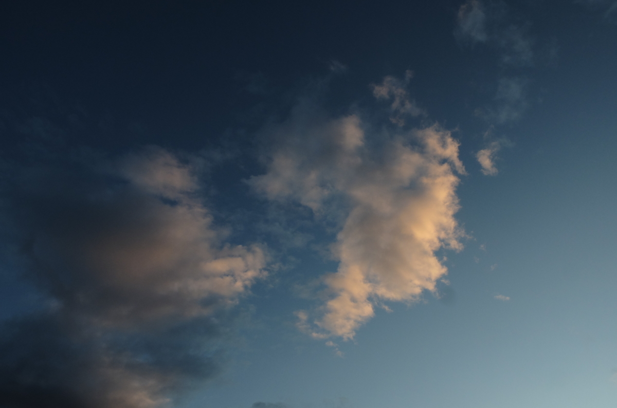 f:id:Aozora100:20210118204805j:plain
