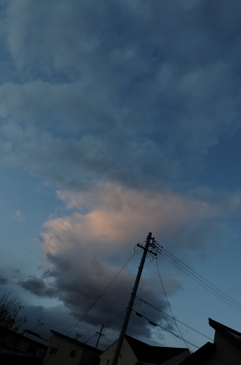 f:id:Aozora100:20210118204818j:plain