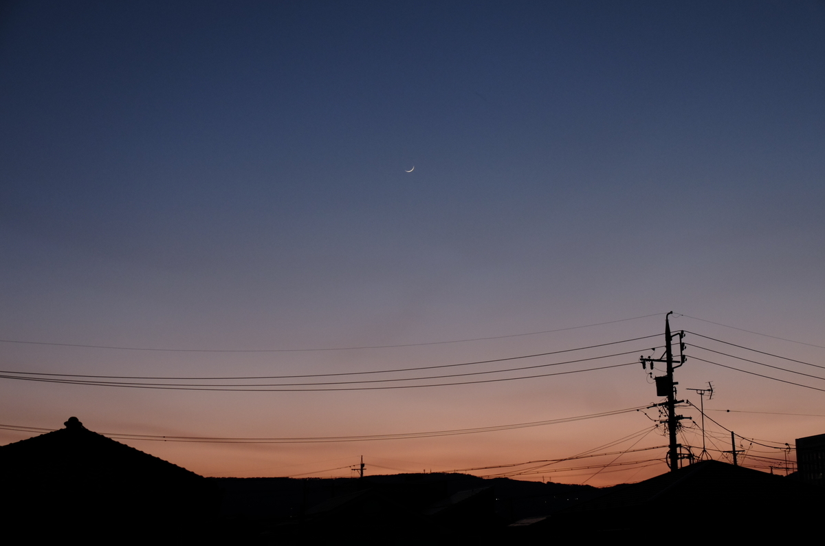 f:id:Aozora100:20210127205504j:plain