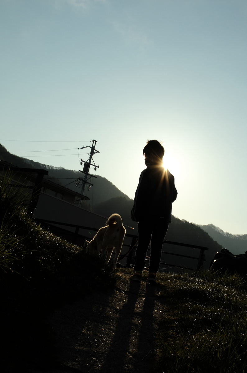 f:id:Aozora100:20210127205530j:plain