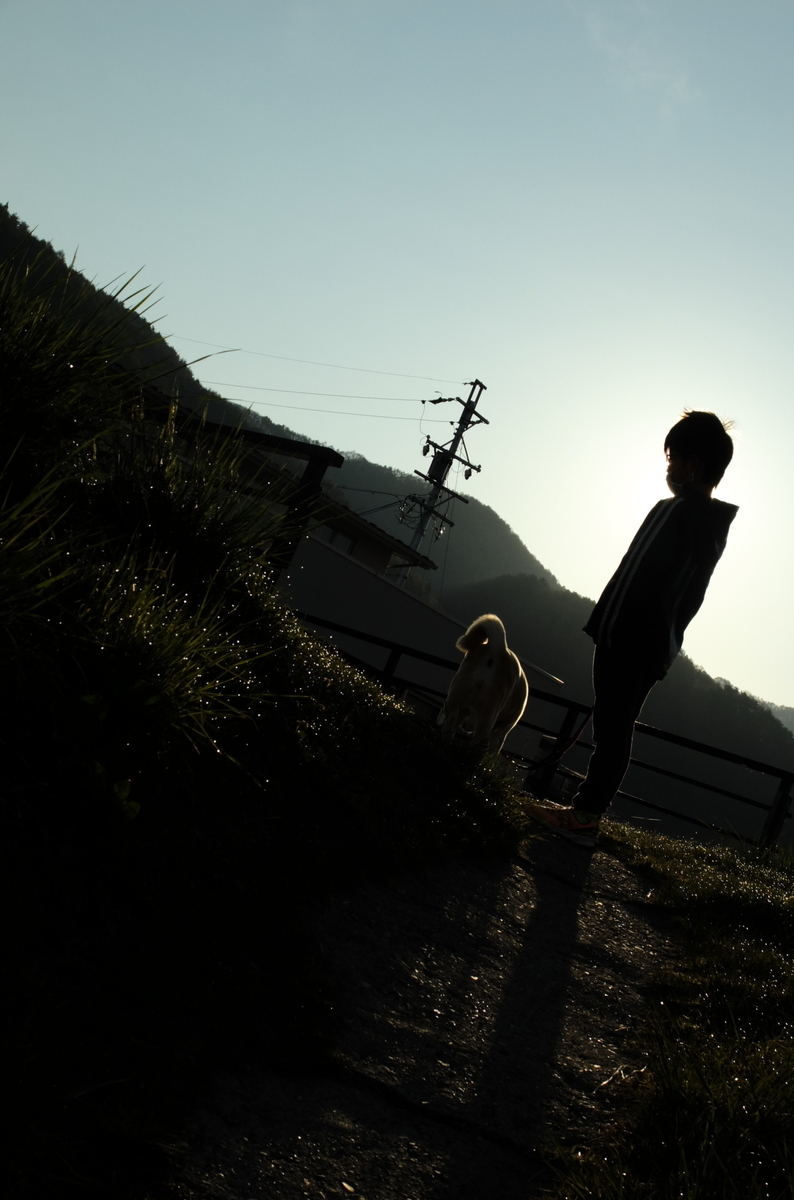 f:id:Aozora100:20210127205537j:plain