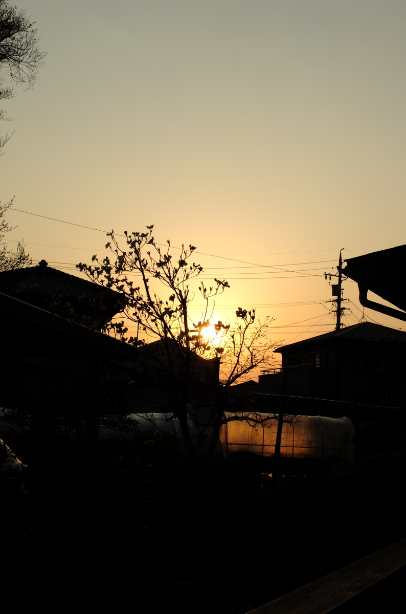 f:id:Aozora100:20210127205554j:plain