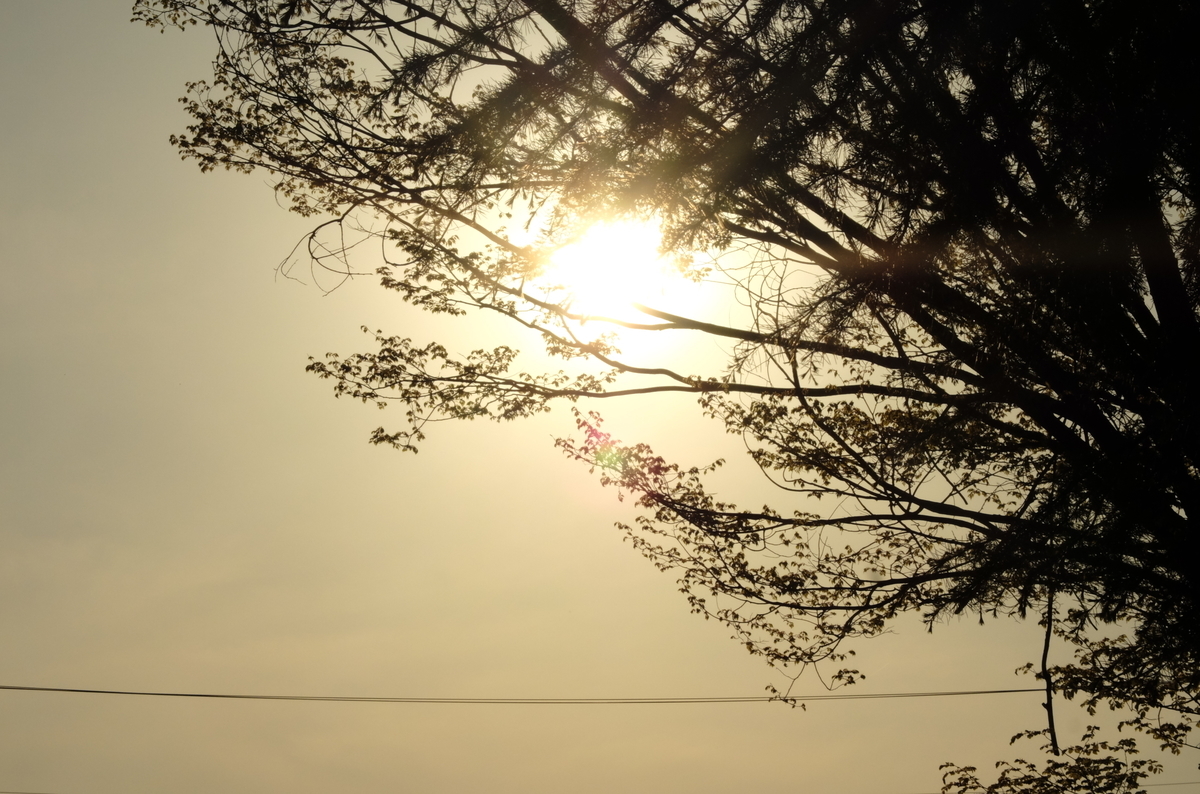 f:id:Aozora100:20210127205644j:plain