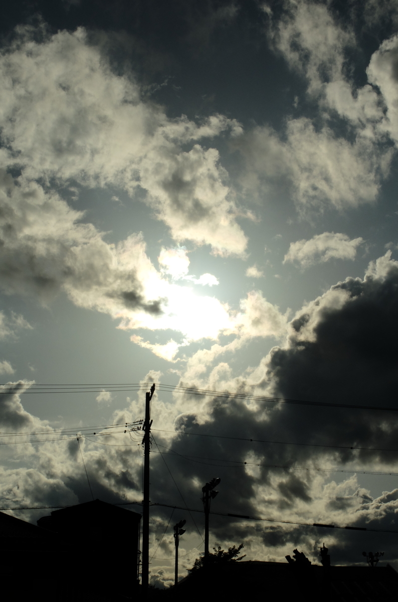 f:id:Aozora100:20210203115405j:plain
