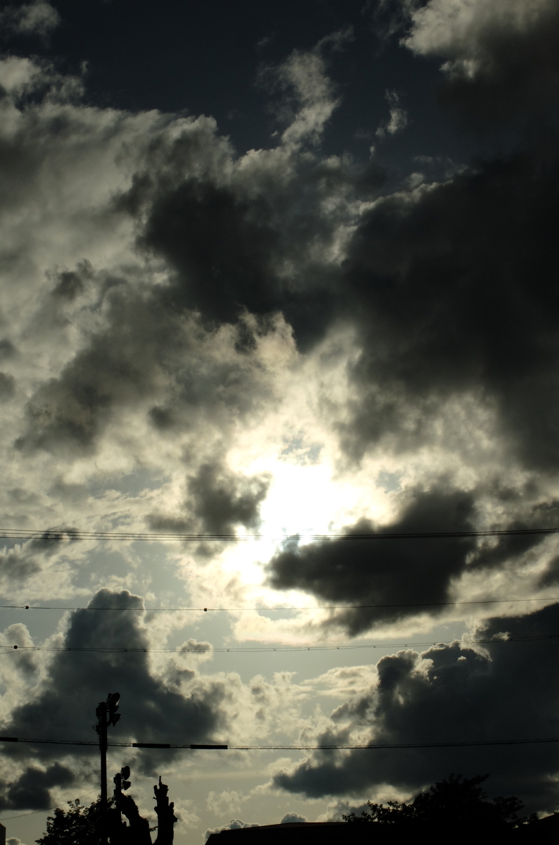 f:id:Aozora100:20210203115439j:plain