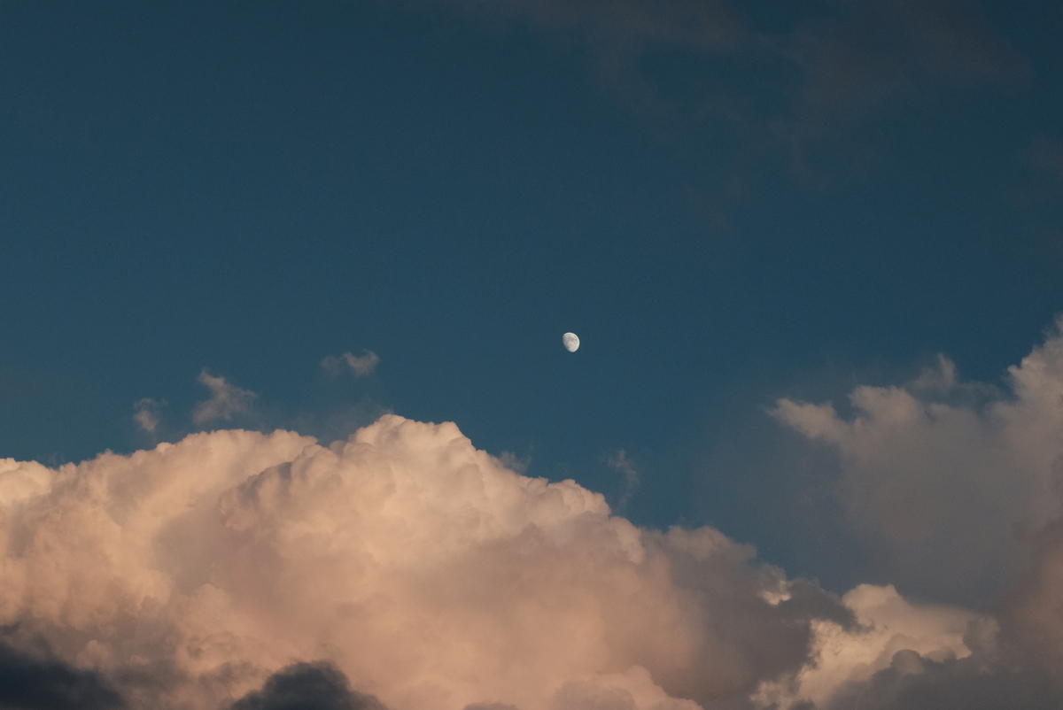 f:id:Aozora100:20210224235820j:plain