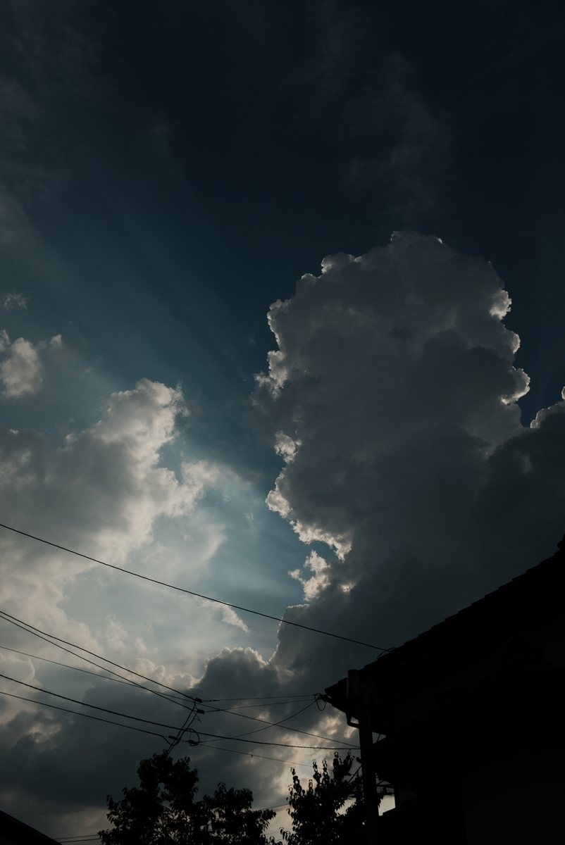 f:id:Aozora100:20210225000153j:plain