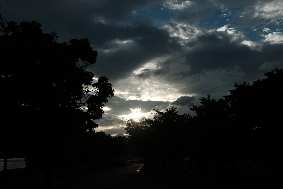 f:id:Aozora100:20210321211523j:plain