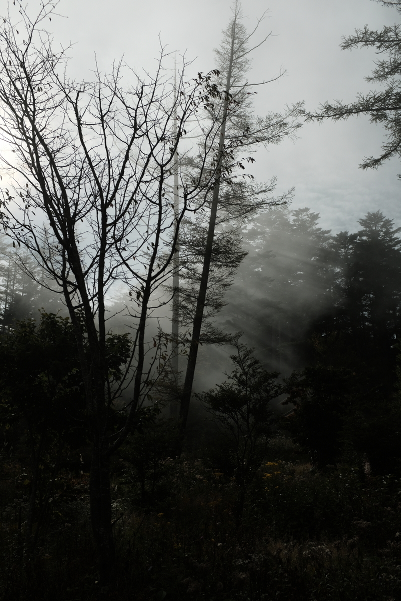 f:id:Aozora100:20210324213801j:plain