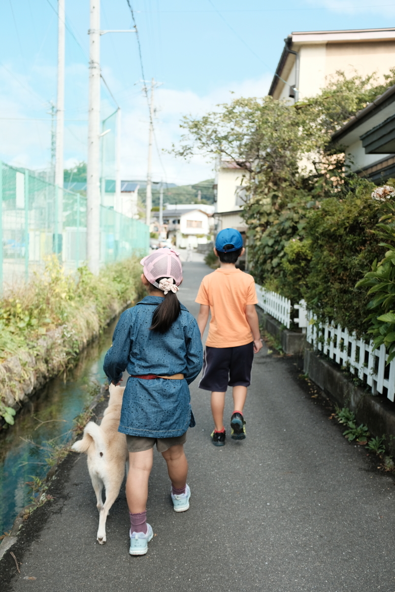 f:id:Aozora100:20210405141816j:plain