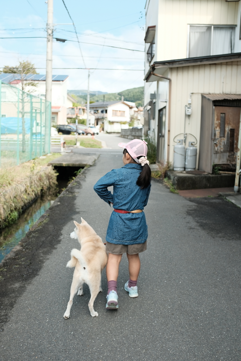 f:id:Aozora100:20210405141854j:plain