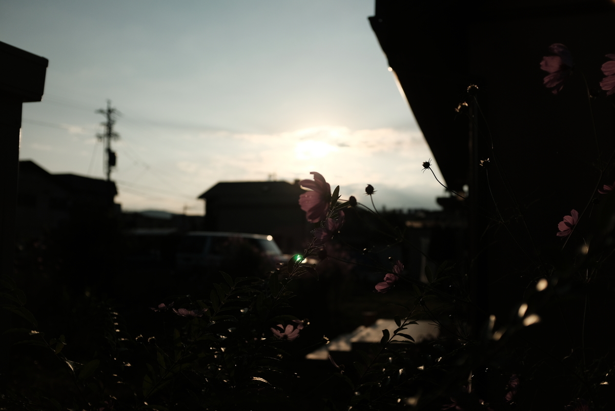 f:id:Aozora100:20210405142139j:plain