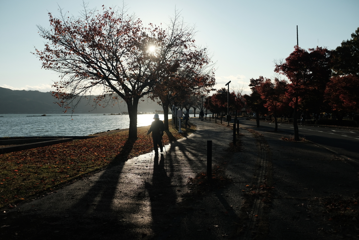 f:id:Aozora100:20210410204054j:plain