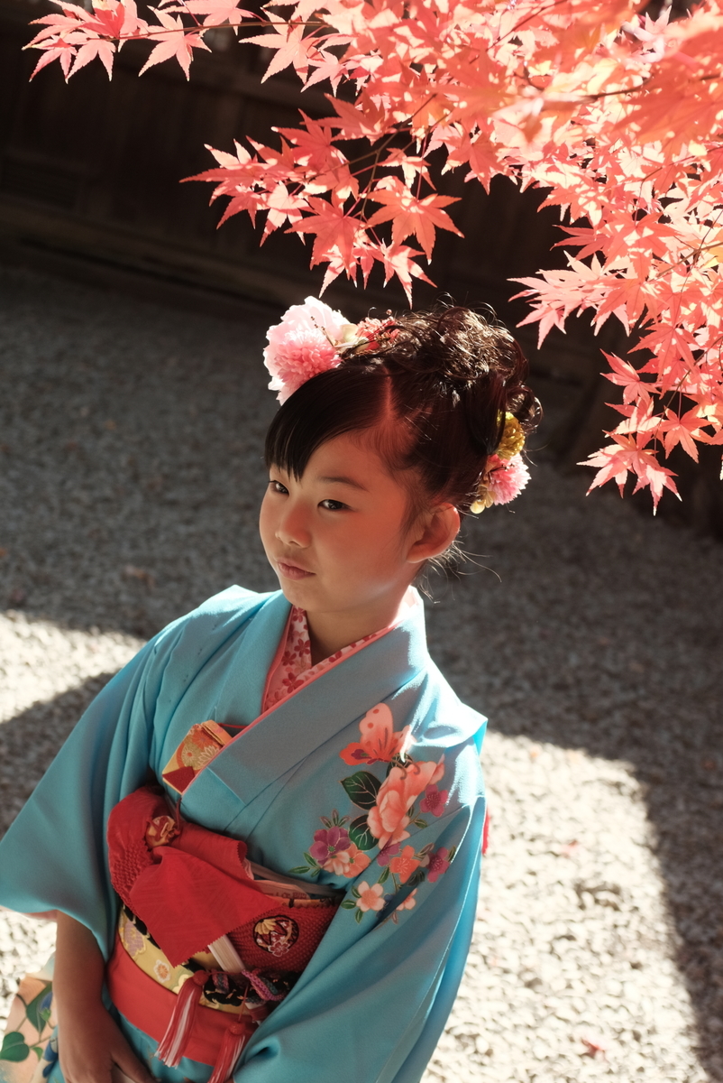 f:id:Aozora100:20210418205236j:plain