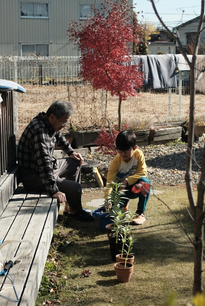 f:id:Aozora100:20210418205408j:plain