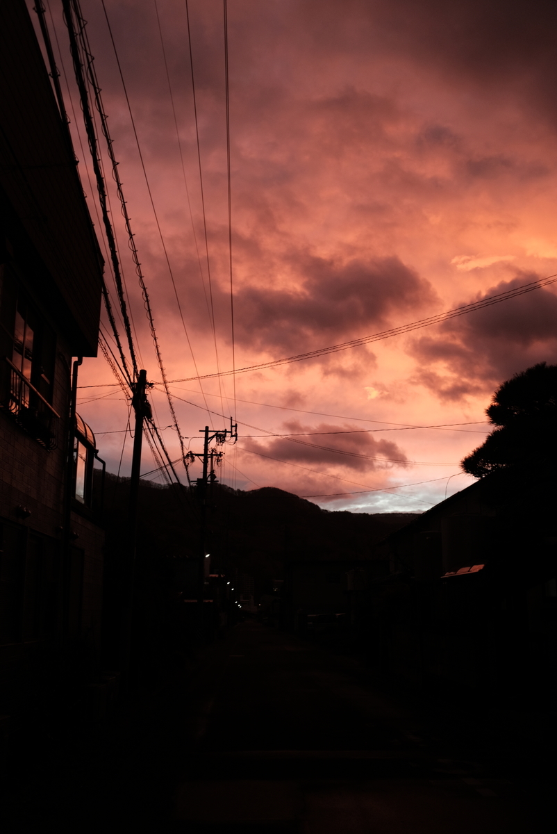 f:id:Aozora100:20210425200107j:plain