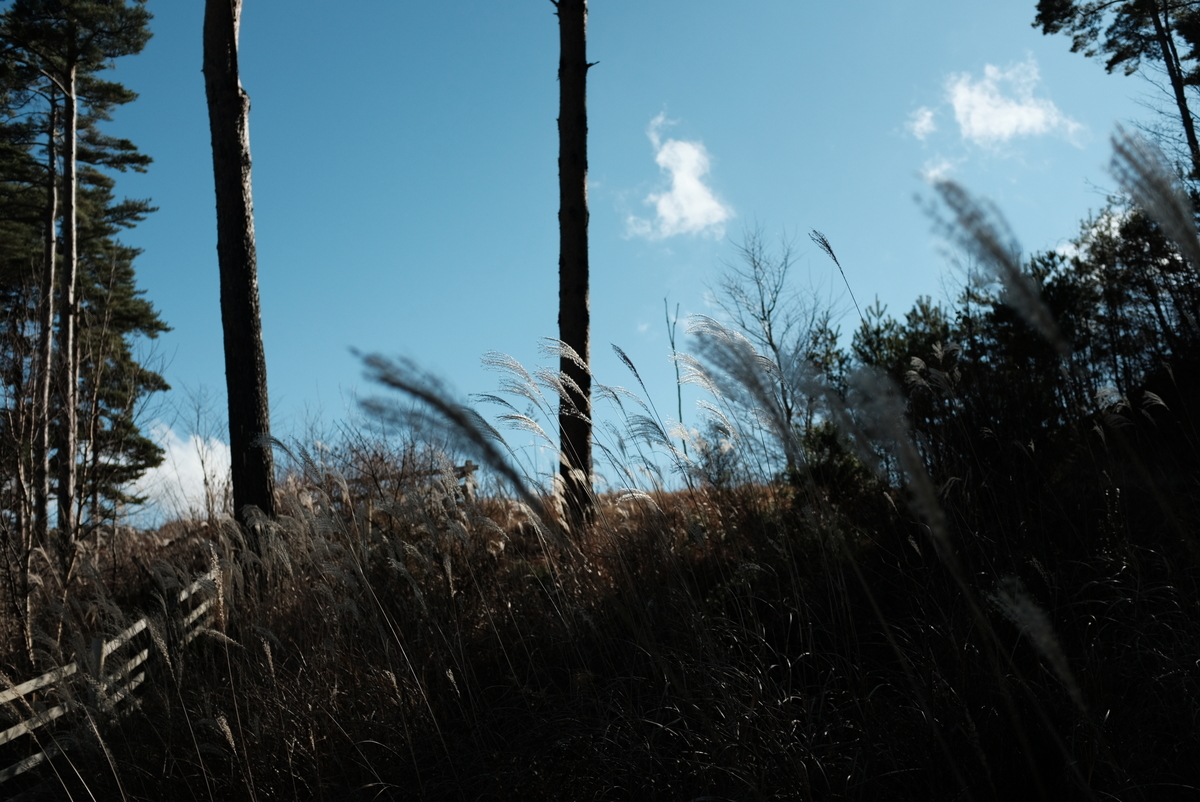 f:id:Aozora100:20210425200358j:plain