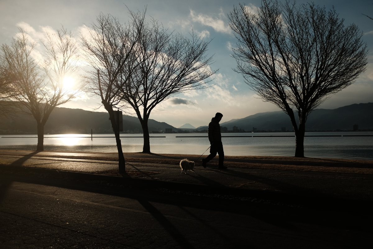 f:id:Aozora100:20210522210629j:plain