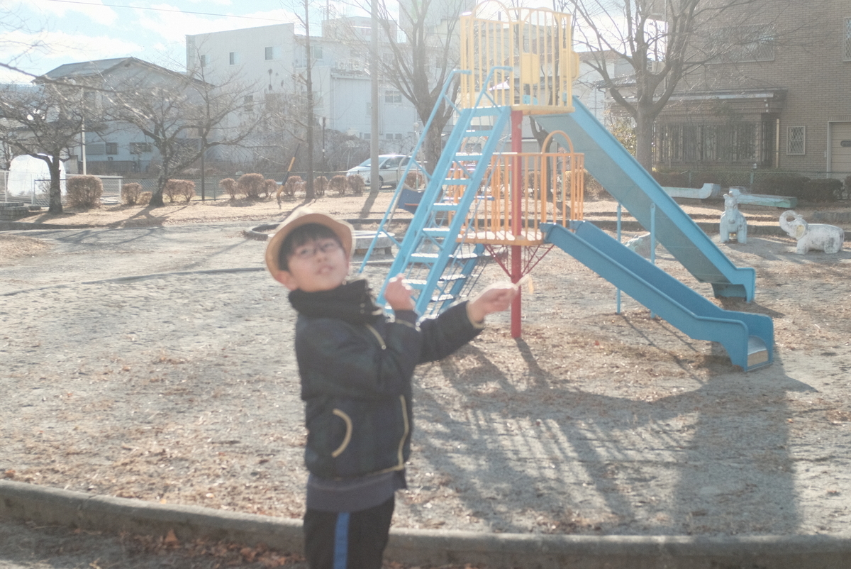 f:id:Aozora100:20210604212122j:plain