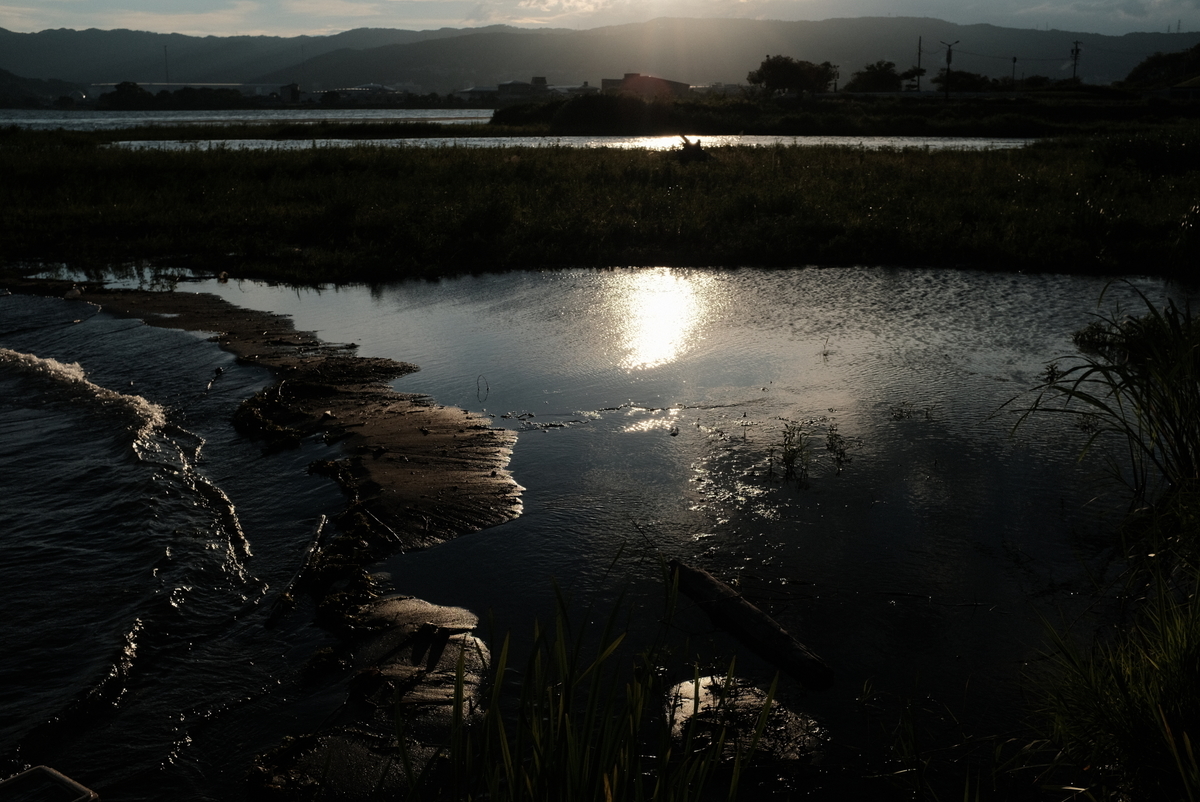 f:id:Aozora100:20211102190426j:plain