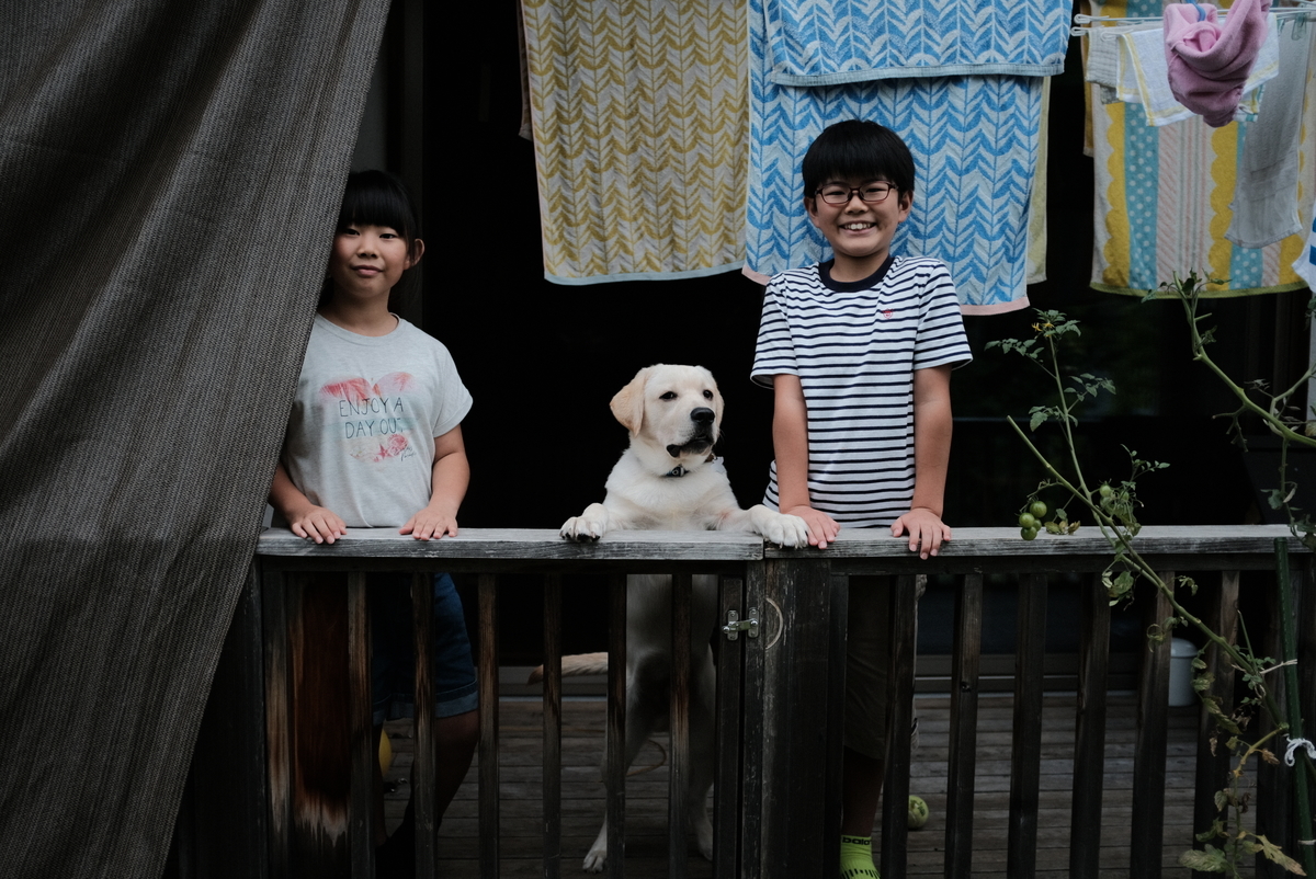f:id:Aozora100:20211111200940j:plain