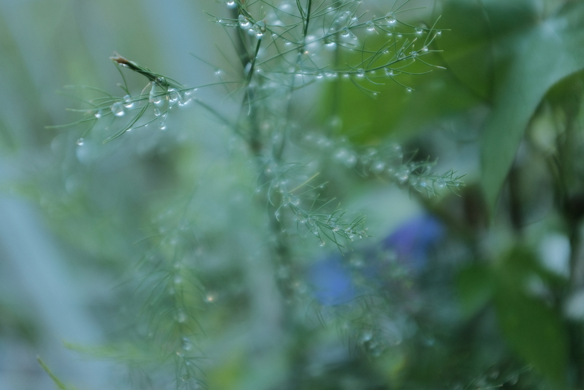 f:id:Aozora100:20211118205441j:plain